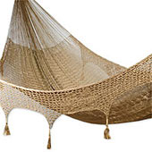 Copper Hammock