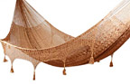 Copper Hammock