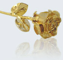 Real rose in 14K gold