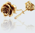 Real rose in 14K gold