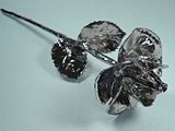 Real Roses in Platinum