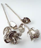 Platinum Roses