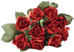 Paper Roses