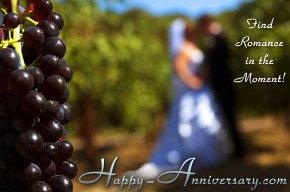 Wedding Anniversary Gifts